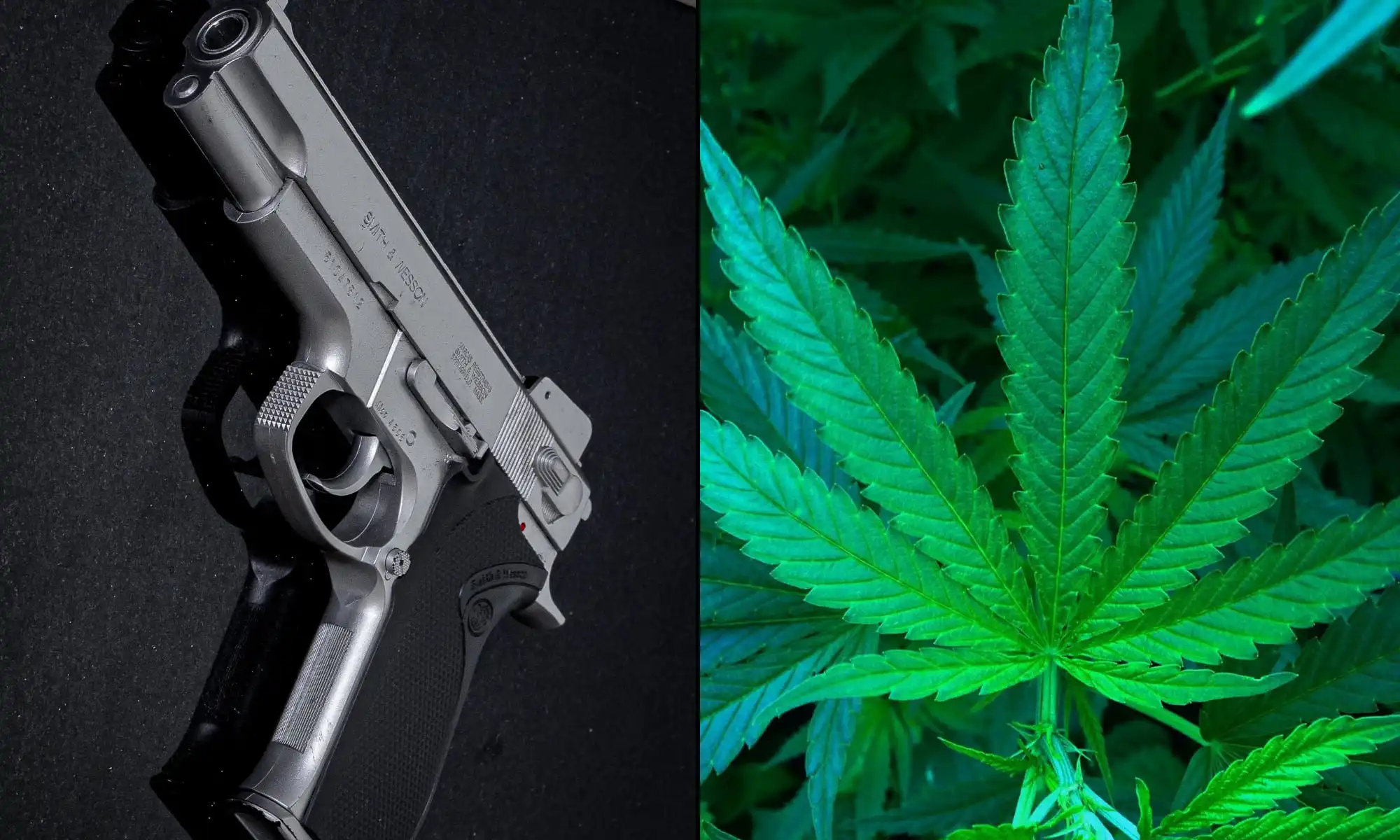 ATF Will Issue Updated Guidance On Gun Rights For Marijuana Users 'Soon' Following Supreme Court Ruling In Second Amendment Case