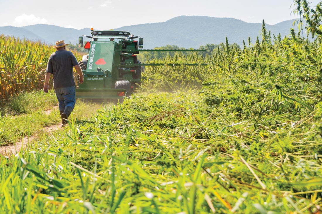 Virginia’s Long-Delayed Cannabis Market Gets 2027 Launch Date