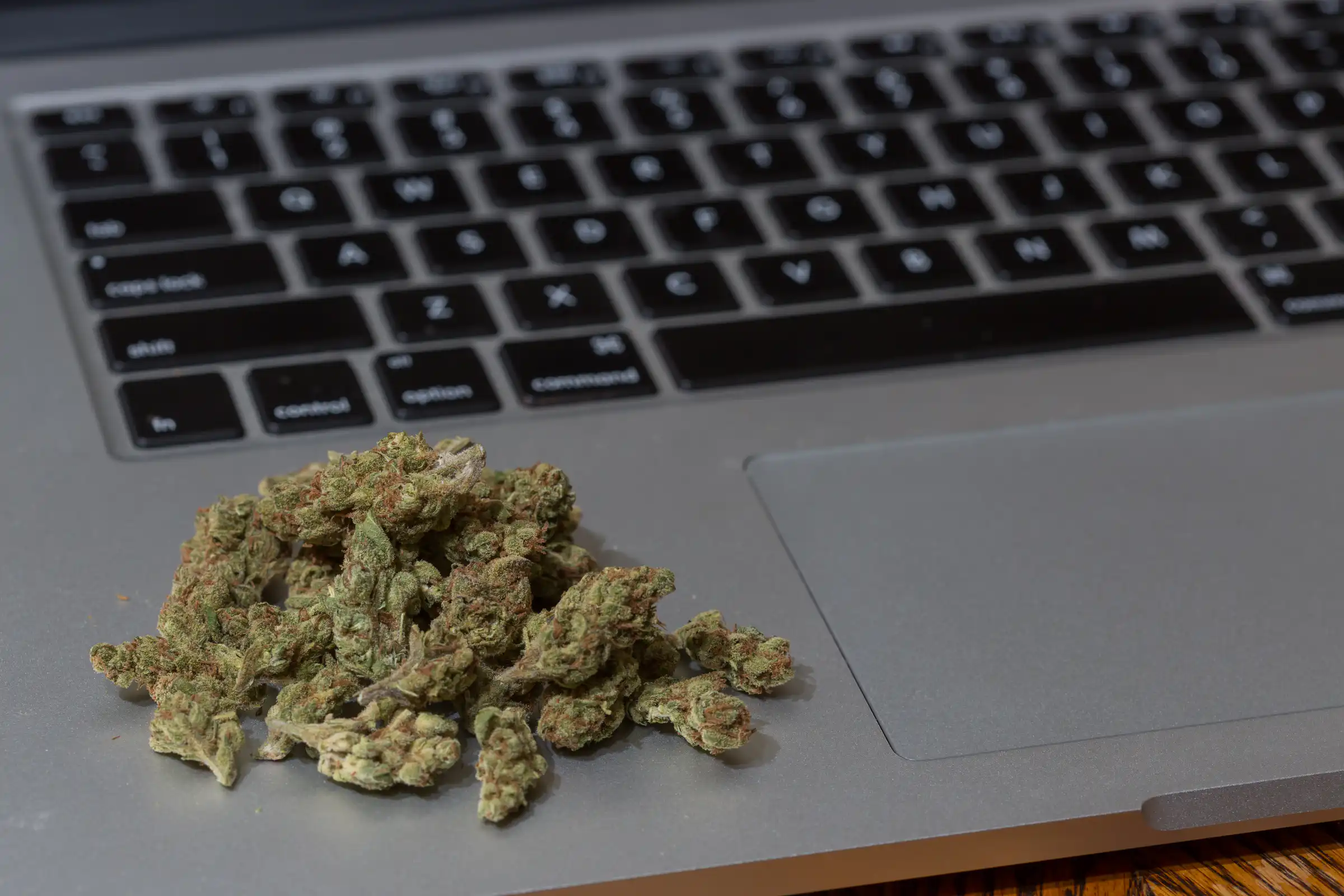 FDA Seeks Contractor To Monitor Marijuana And Hemp Posts On TikTok, Reddit And Instagram