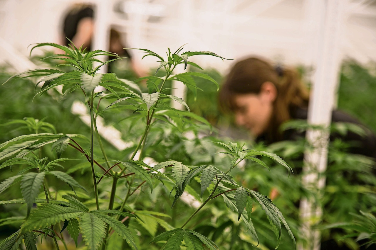 My evolving relationship with Mary Jane. I’m nobody’s customer: Money Talks